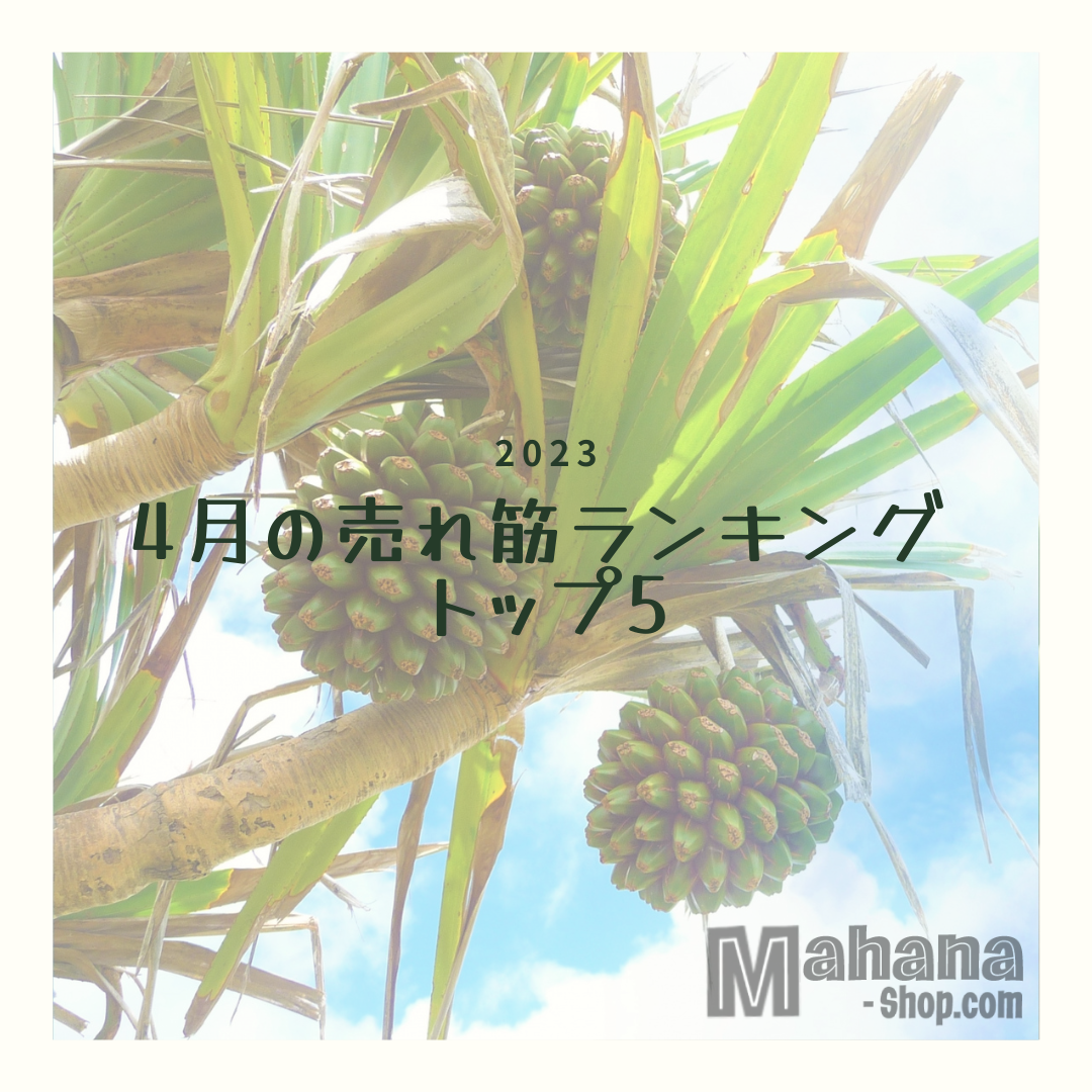 2023年4月の売れ筋ランキング