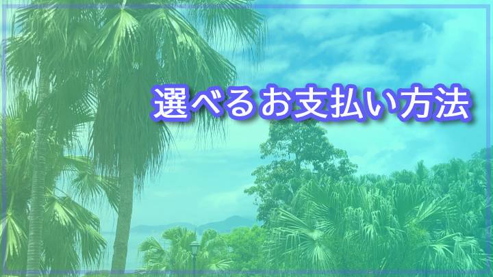 コンビニ決済、銀行振込みに対応いたしました。