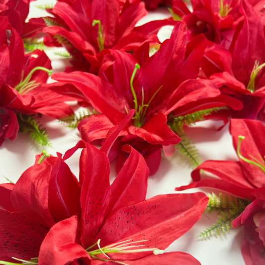 リリーデンファレ 【5色展開】