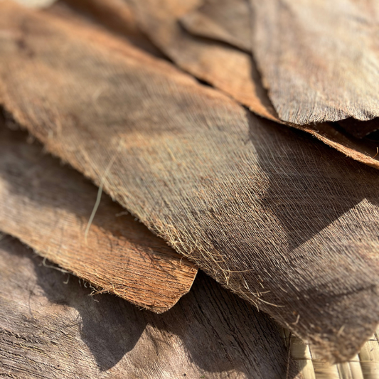 ココナッツバーク ココナツの樹皮 ケレ