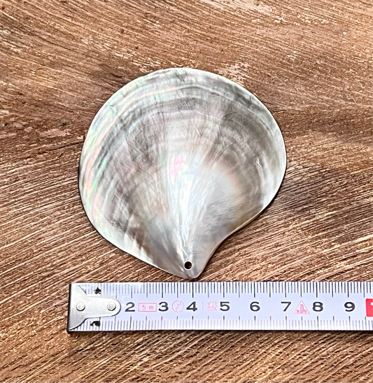 黒蝶貝 扇形 MOP ブラックパール シェル 穴あり