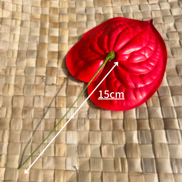 アンスリウム ピック 15cm