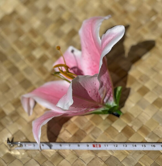 リリー ヘアクリップ シングル