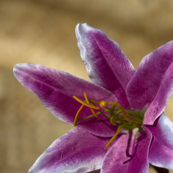 リリー ヘアクリップ シングル