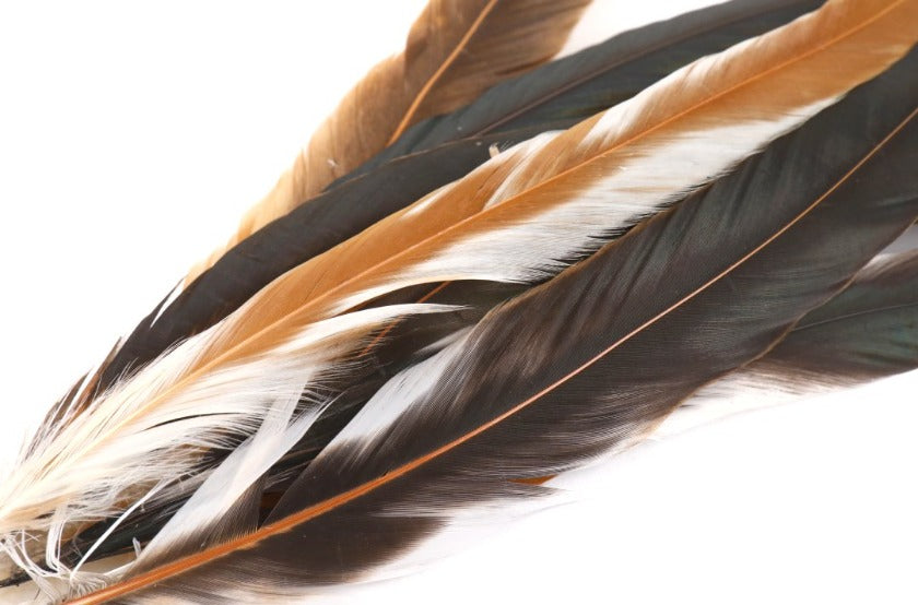 ナチュラル ロングフェザー 20-25/25-30/30-35/35-40cm
