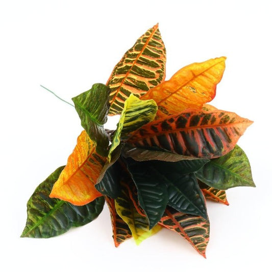 タヒチアンダンス 衣装 オリタヒチ ヒップベルト ヘッドドレス カスタム パーツ 材料 手作り衣装 クロトン 観葉植物 トロピカル フェイクリーフ 葉材 ヘンヨウボク 変葉木 マハナショップ MAHANA アパリマ オテア イベント ステージ 発表会 舞台 出演