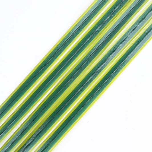 コンシンネ ホワイボリー 5本set ダークグリーン x ライトグリーン縁 S/M