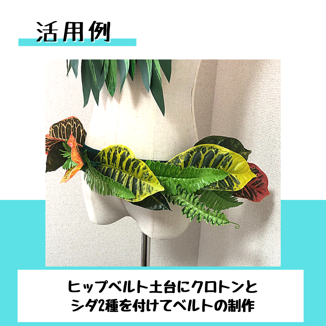 シダ-B
