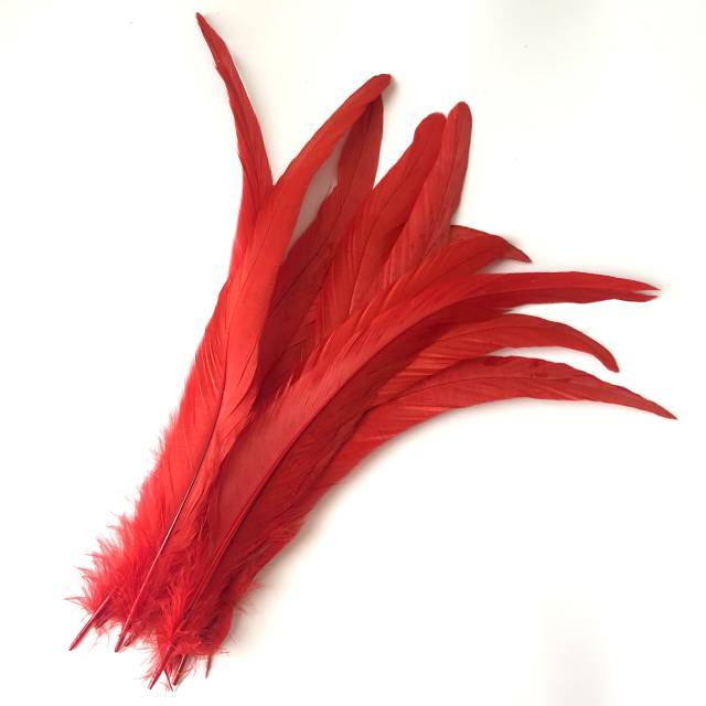 単色赤<BR> ロングフェザー<BR> 20-25/25-30/30-35/35-40/40-45/45-50cm