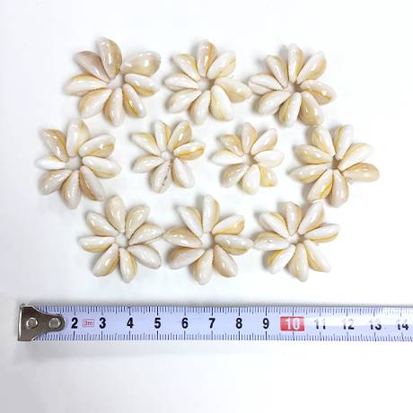 カウリ-シェル フラワーパーツ10個セット