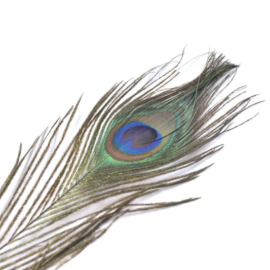 孔雀羽根 ピーコックアイフェザー 【3色展開】