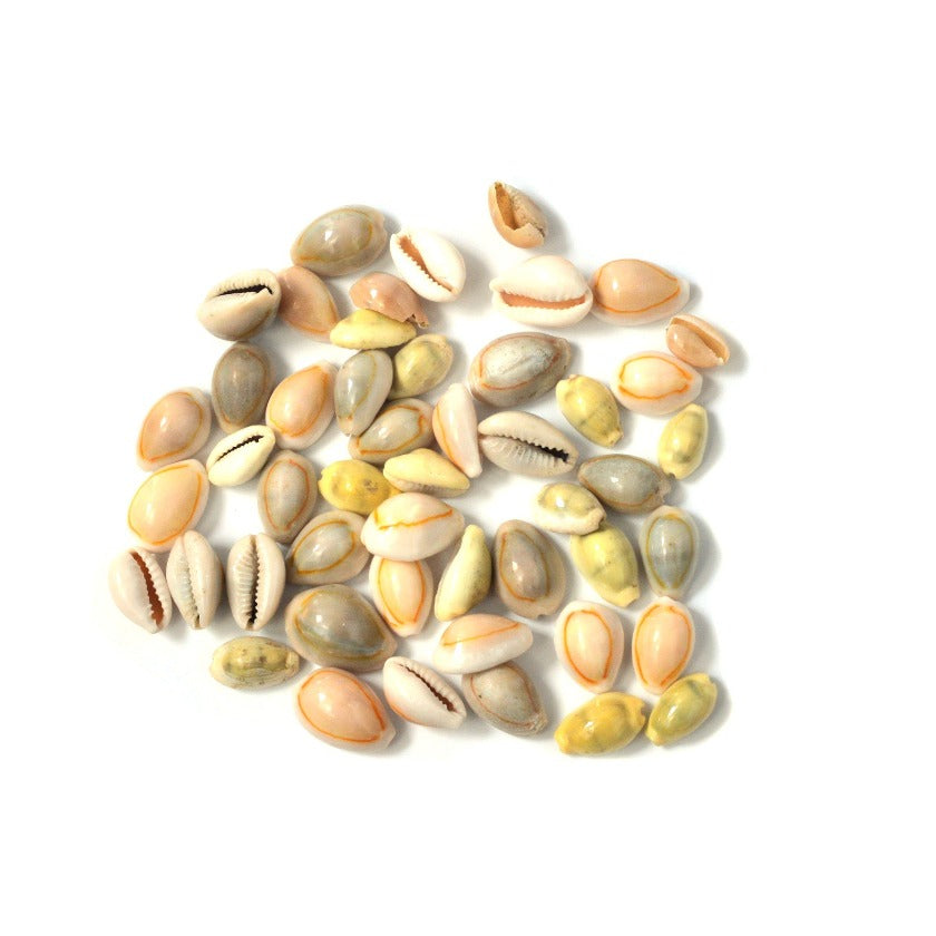 カウリーシェル バラパーツ50g 穴無し