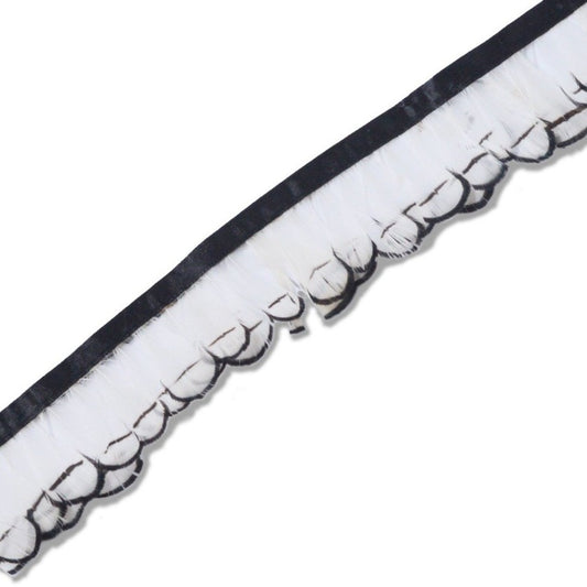 フェザー ロール キンケイ錦鶏 6-8cm丈 30cm