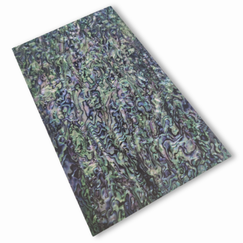 パウア シェルシール 鮑柄