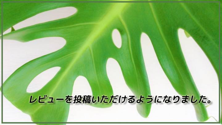 レビューを投稿いただけるようになりました。
