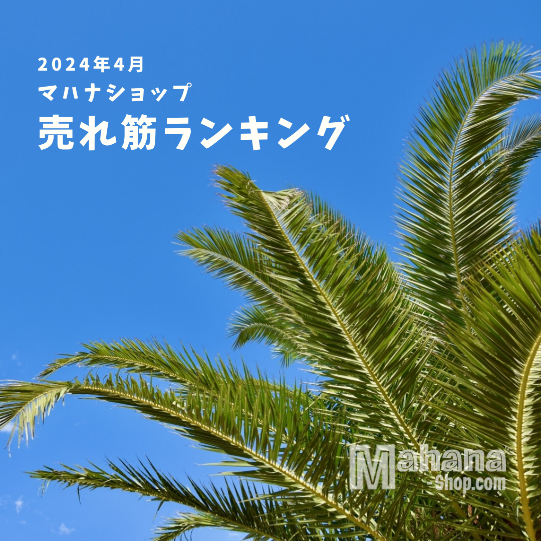 2024年4月の売れ筋ランキング