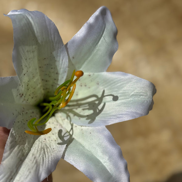 タヒチアンダンス衣装 hipbelt ヒップベルト ティーリーフ タヒチアン MAHANA SHOP