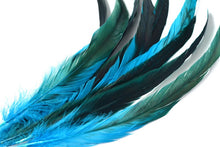 ナチュラルターコイズ<BR> ロングフェザー<BR> 20-25/25-30/30-35/35-40cm