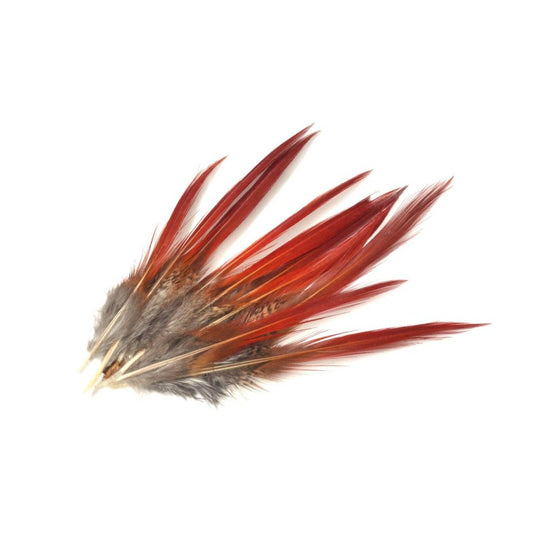 キンケイ 錦鶏 <BR> ロングフェザー <BR>5サイズ展開