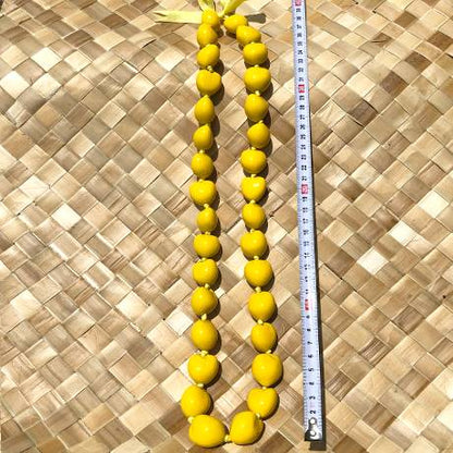 ククイナッツレイ　【5色展開】